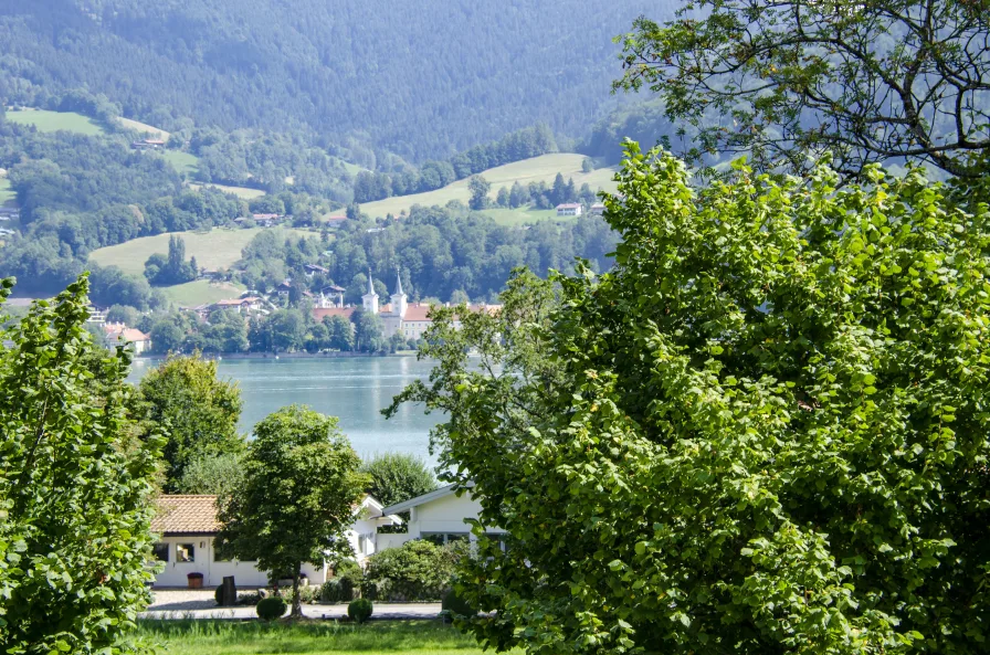 Blick vom Balkon Ost