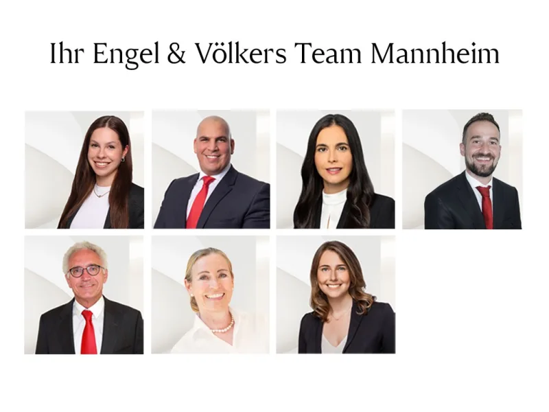 Team Mannheim