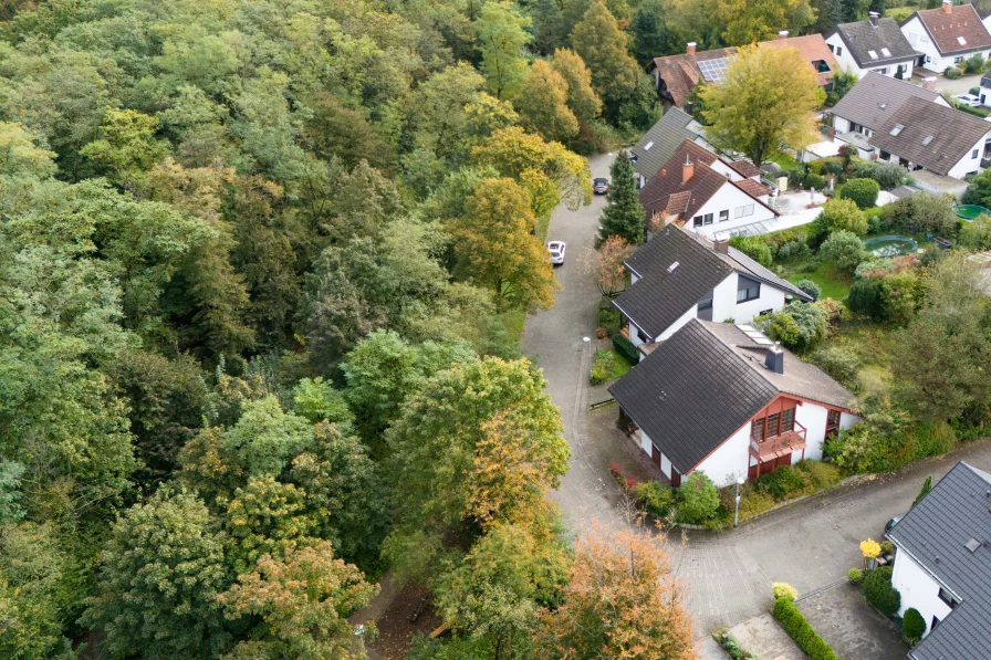 Lage aus der Vogelperspektive - Haus kaufen in Mannheim - Freistehendes EFH in traumhafter Waldrandlage in Mannheim Gartenstadt!