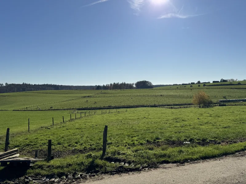 Blick von der Straße  nach rechts