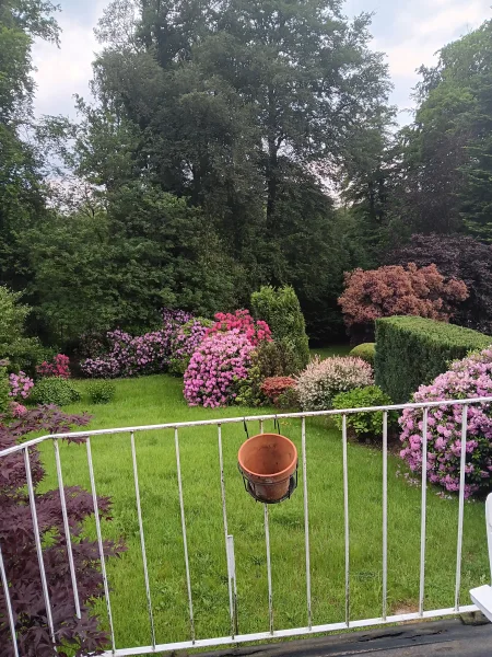 Ausblick in den Garten