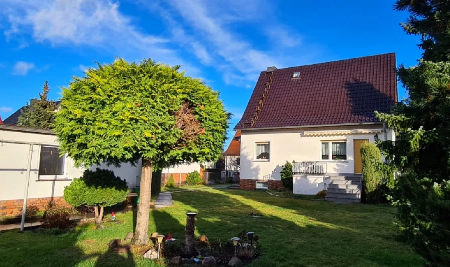 Blick vom Garten - Haus kaufen in Senftenberg - Ihr neues Zuhause in beliebter Lage in Senftenberg