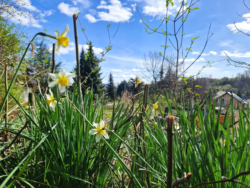 Ruhe und Fernblick