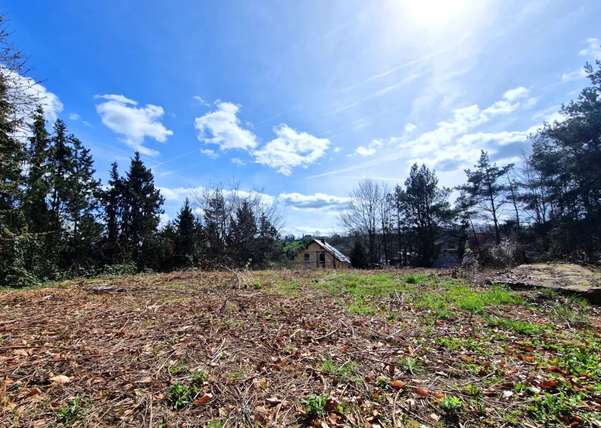 Baufeld mit Weitblick - Grundstück kaufen in Freital - Baugrundstück im Grünen mit Weitsicht