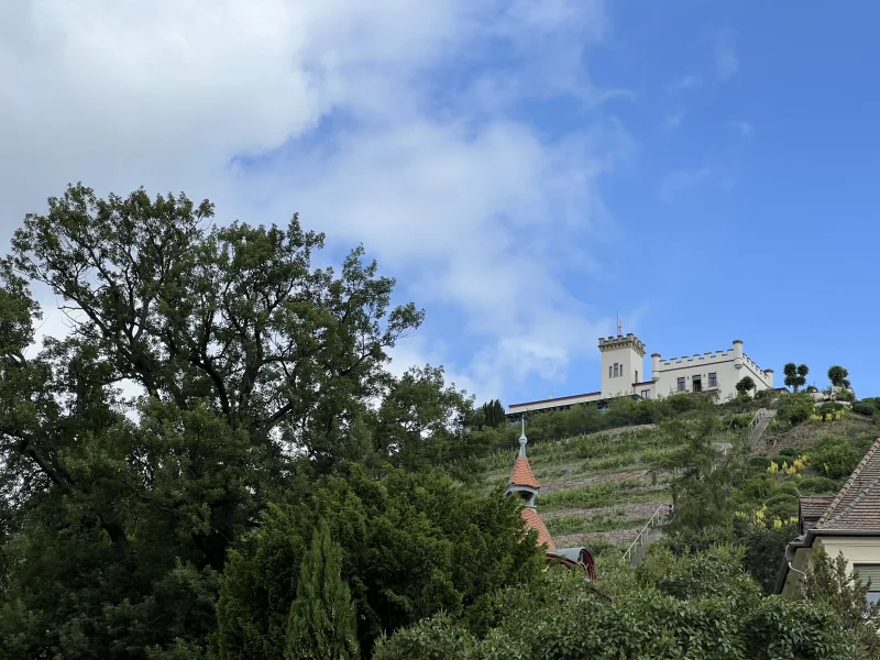 Blick auf die Friedensburg