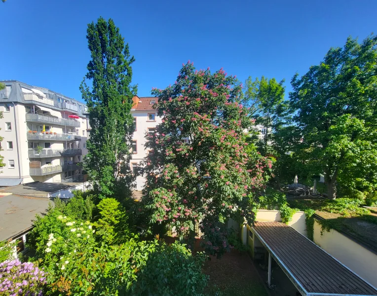 Aussicht vom Balkon