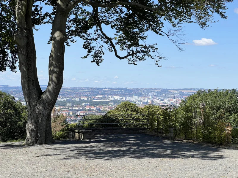 Blick über Dresden