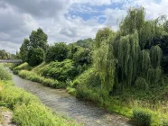 Triebisch in unmittelbarer Nähe