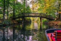 unmittelbare Nähe zum Spreewald