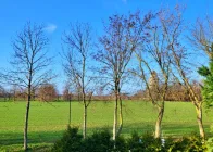 Blick vom Balkon