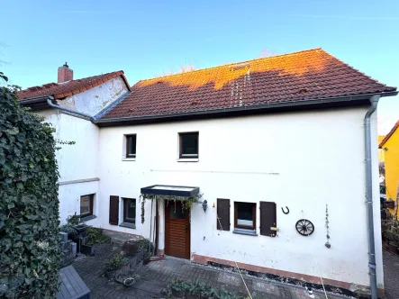 Haushinteransicht - Haus kaufen in Grimma - Stadthaus mit Weitblick und großem Grundstück in Grimma