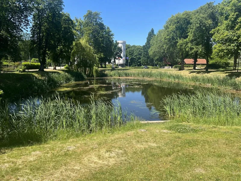 Impression Teich vom Schlosspark