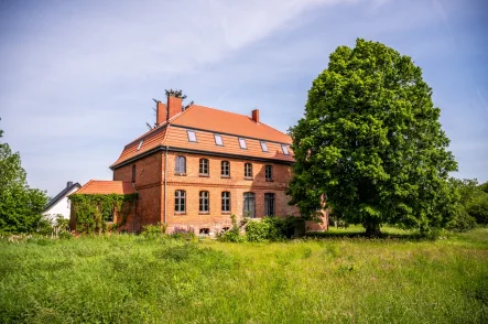 Ansicht vom Garten - Haus kaufen in Millienhagen-Oebelitz - Gutshaus mit eigenem Park in                                        malerischer Umgebung