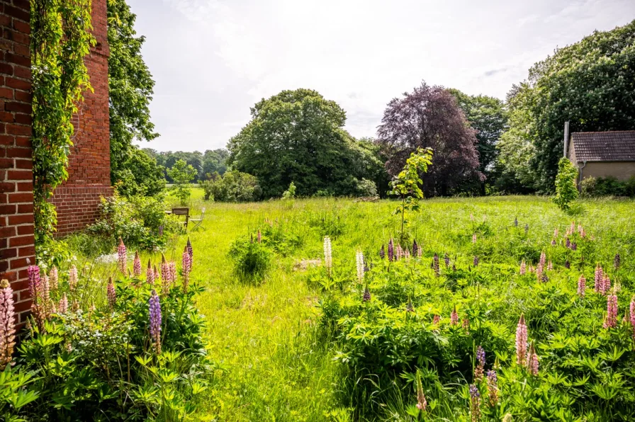 Blick in den Park