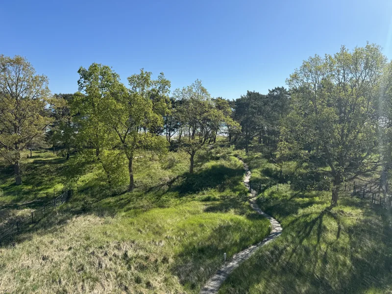 Ausblick vom Balkon