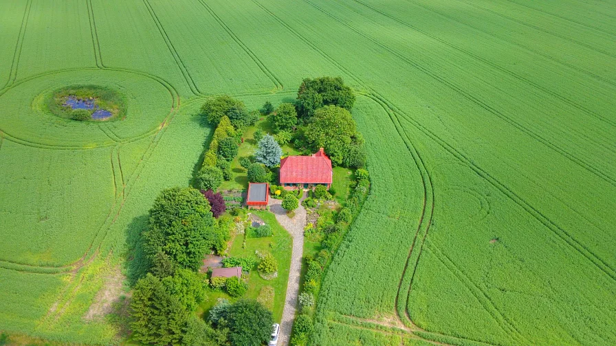  - Haus kaufen in Elmenhorst - Bauernhaus in Alleinlage - nahe Stralsund