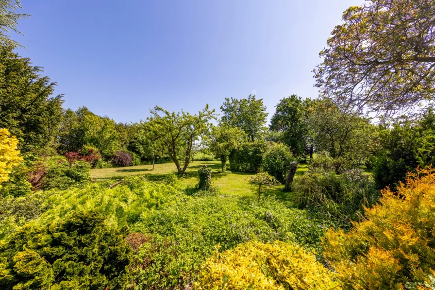 Blick in den Garten