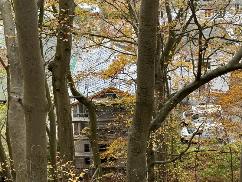 Ansicht zur Villa von dem angrenzenden Wald