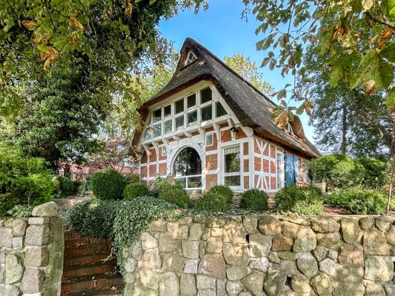 Außenansicht - Haus kaufen in Wischhafen - Schöner geht es nicht: Tolle Reetdachkate mit einzigartigem Ausblick