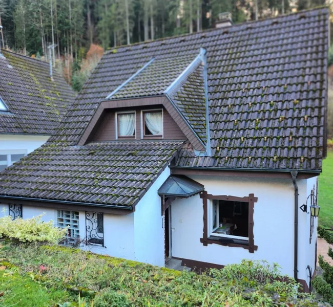 Hausansicht Rückseite mit Eingangsbereich - Haus kaufen in Hornberg - Neuer Preis!!! Gepflegt, ruhige Lage und mit viel Potenzial