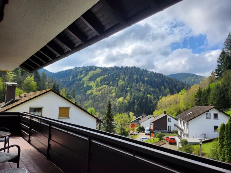 Blick vom Südbalkon des Erdgeschosses in den Schwarzwald