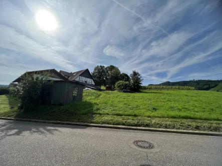 Toller Blick auf die Weinreben und auf das Schloss - Grundstück kaufen in Durbach - Baugrundstück in beliebter Lage von Durbach