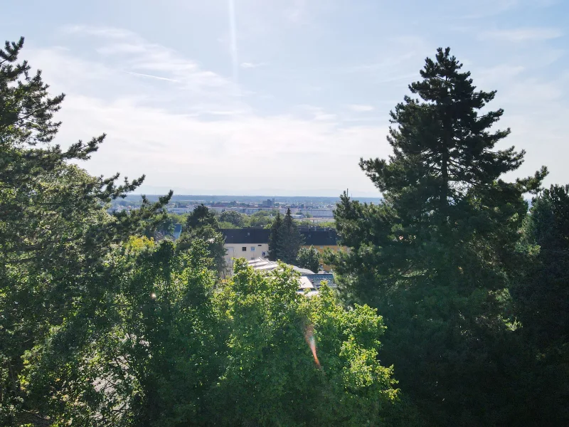 Möglicher Ausblick bei Umgestaltung des Gartens