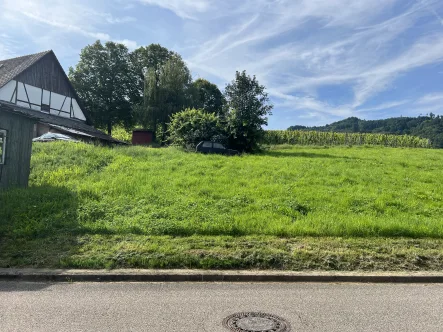 Toller Blick auf die Weinreben und auf das Schloss - Grundstück kaufen in Durbach - Geteiltes Baugrundstück in beliebter Lage von Durbach