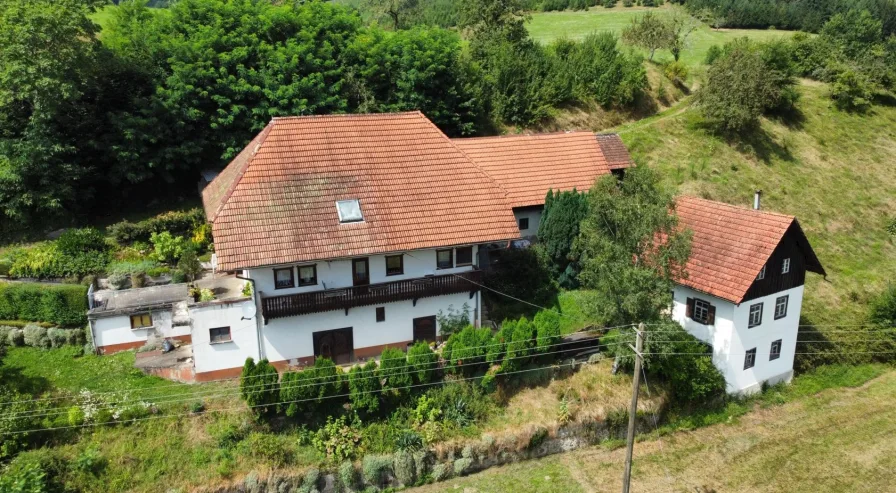 Das Wohnhaus mit Ökonomieanbau und Leibgedinghaus, in sonniger Hanglage - Haus kaufen in Welschensteinach - Wohnhaus mit Ökonomieanbau und Leibgedinghaus