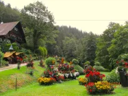 Sommertraum - Blick in den üppig blühenden, zugrhörigen, unteren Jagdhau