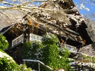 Traumhafte Winterstimmung - Viel Schnee, blauer Himmel und Schwarzwaldsonne