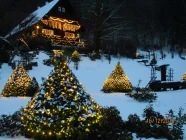 Einmalige, märchenhafte Weihnachtsstimmung im beleuchteten Jagdhauspark