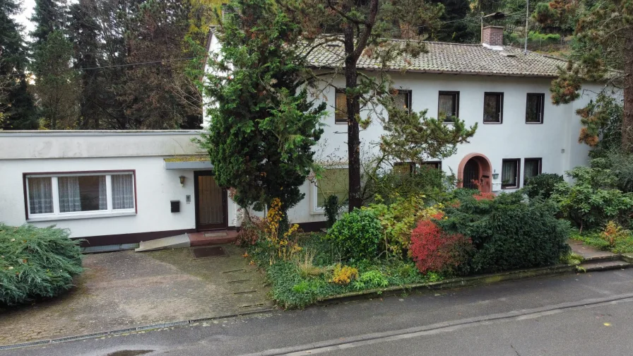 Blick auf das Haupthaus und den separate Eingang in die Einl.-Wohnung - Haus kaufen in Steinach - Herrschaftliches Zweifamilienhaus mit Park