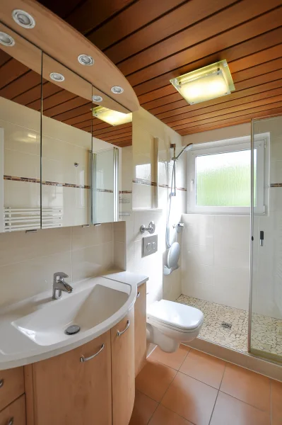 Tageslichtbadezimmer mit Dusche - Wohnung kaufen in Stuttgart - Renovierte 3-Zimmer-Wohnung mit Balkon