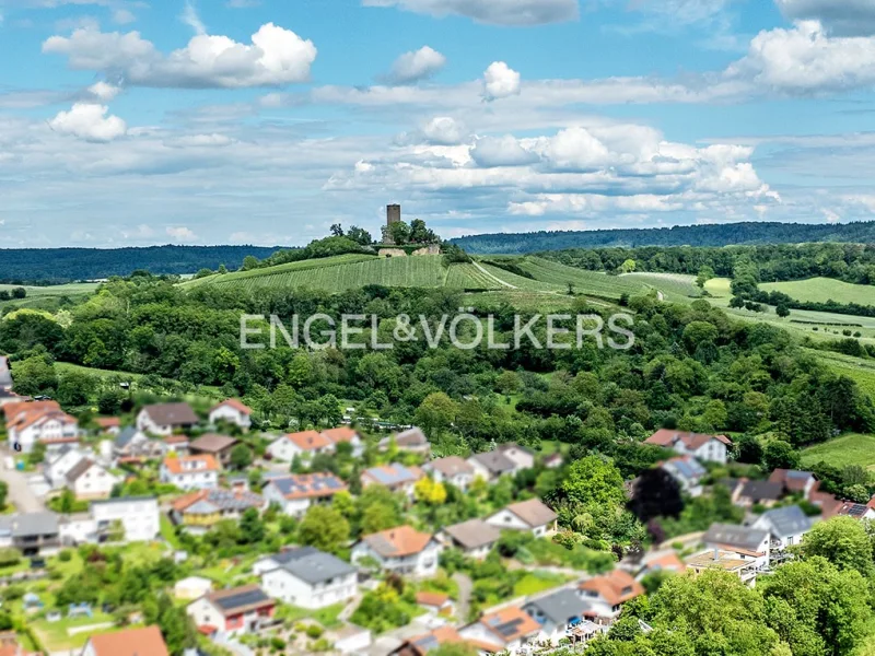 Blick auf die Ravensburg