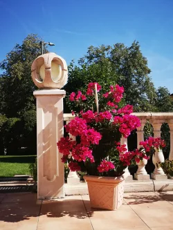 Blumenpracht wie im Süden inklusive - Haus kaufen in Roth - Wohnen und Arbeiten dort, wo andere Urlaub machen