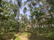 Das Grundstück inmitten der Natur