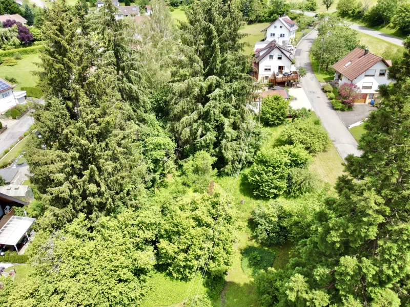 Blick von oben auf das große Grundstück - Grundstück kaufen in Balingen-Zillhausen - Riesiges Baugrundstück in ruhiger Lage