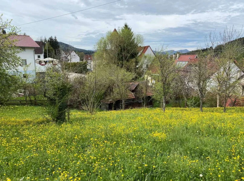 Ausblick auf den großen Garten (2 Flurstücke)