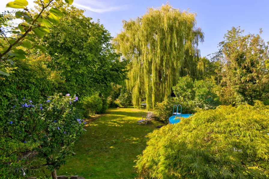 Garten mit altem Baumbestand