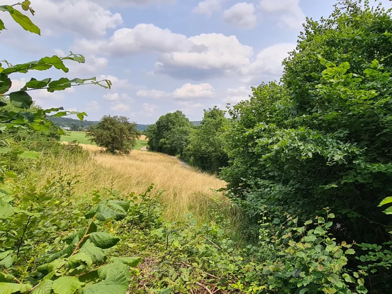  - Sonstige Immobilie kaufen in Kreuzau-Obermaubach - Großzügiges Baugrundstück in Kreuzau-Obermaubach