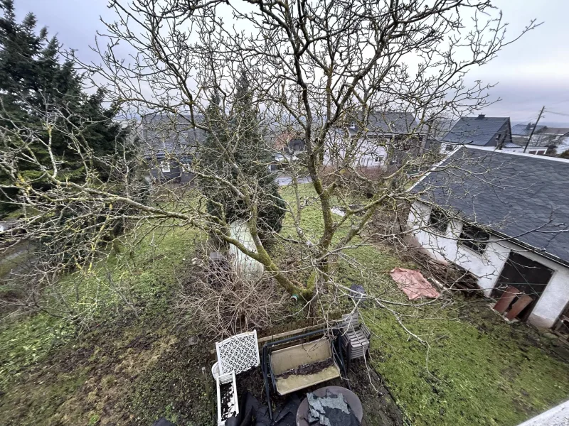 Blick vom Wintergarten auf das Grundstück