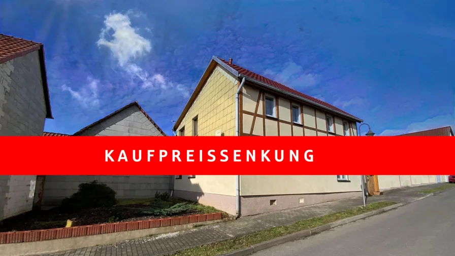 Frontansicht - Haus kaufen in Unstruttal - Preisknaller für Handwerker!