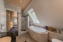 High quality bathroom with large bathtub and shower