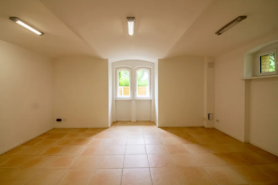 Office with capped ceilings