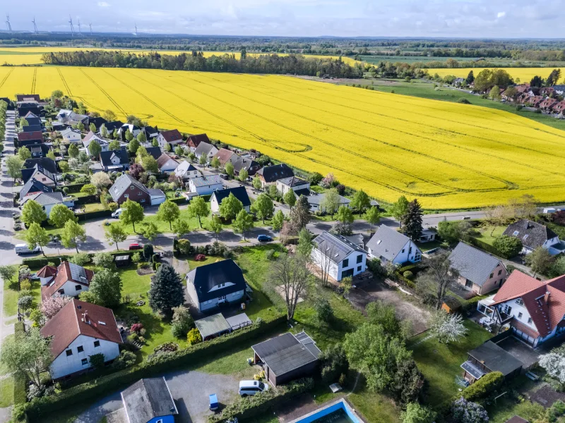 The flower district in Stahnsdorf