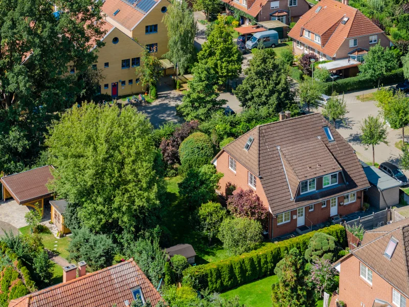 Garden with trees