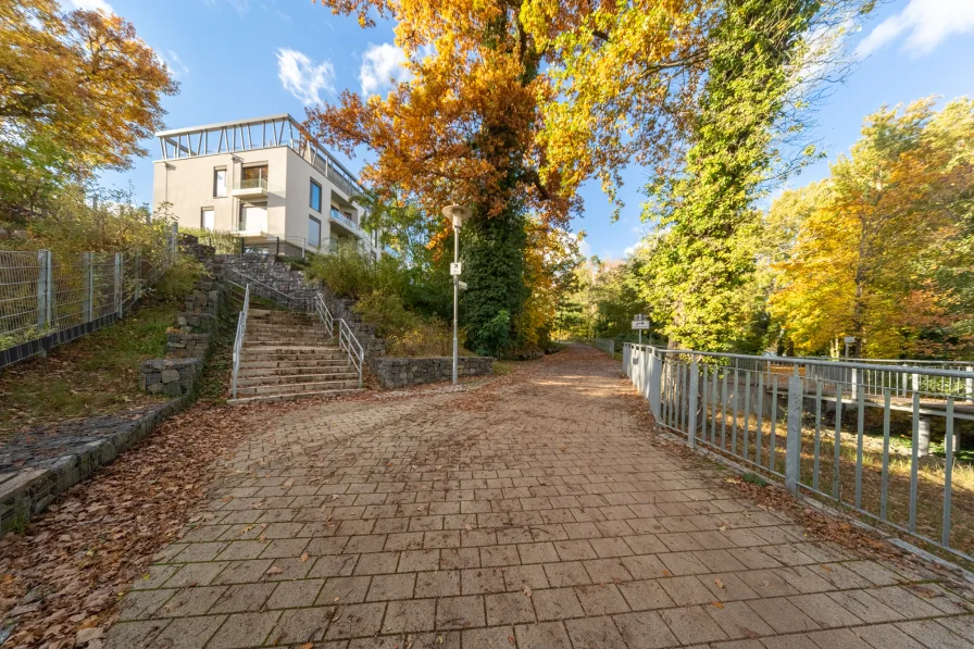 Riverside path by the house