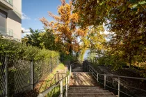 Riverside path by the house