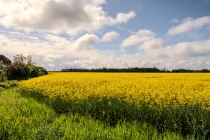 Sichtachse der Felder "Die schmalen Enden"